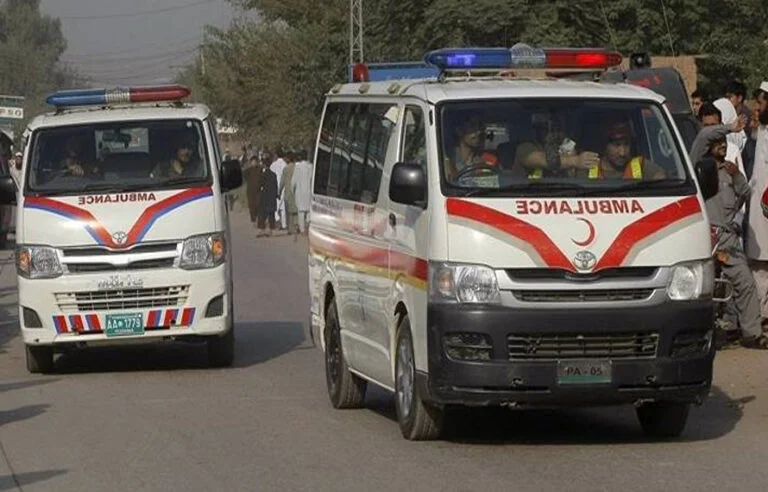 4 Tourists Die After Car Falls into Gorge