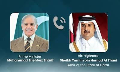 PM Shehbaz discusses regional situation with Amir of Qatar