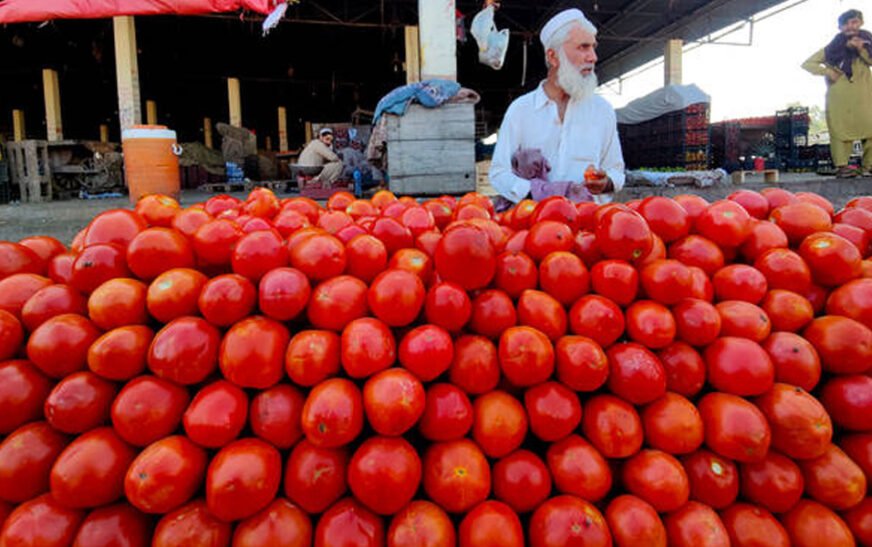 Tomato prices