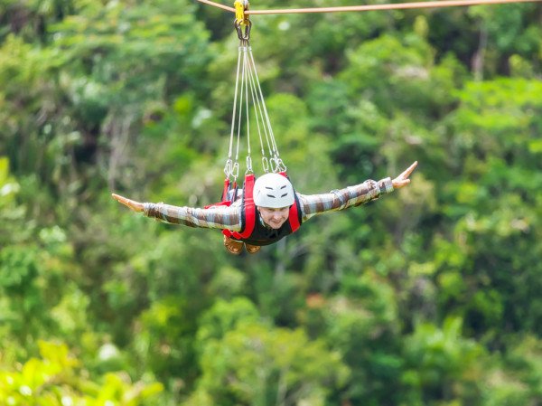 Illegal Tourist Ziplines Shut Down