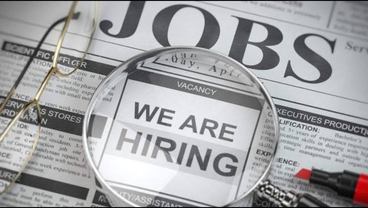 351 Government Jobs Announced — Check Eligibility and Application Deadline