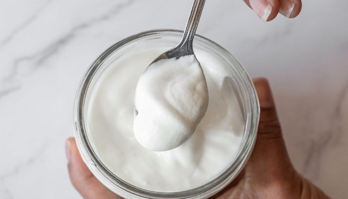 Adding honey to yogurt may boost gut health, studies find