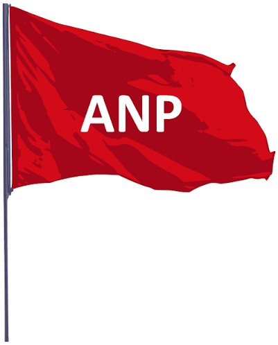 ANP Forms New Committee—What Will Its Role Be?