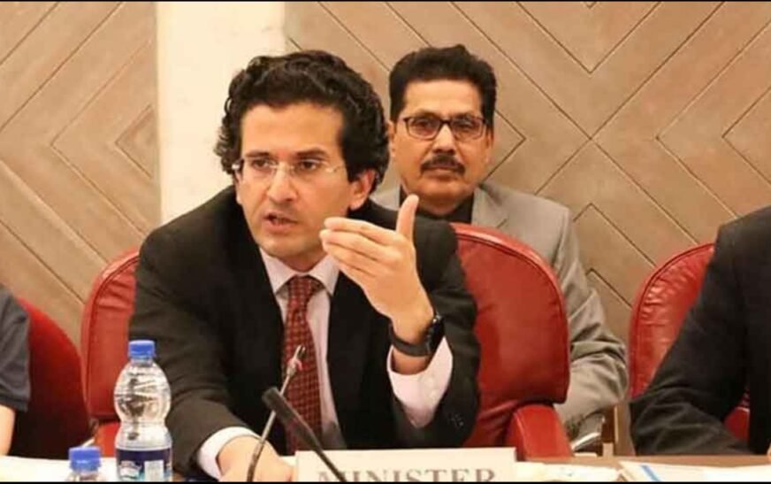 Ali Pervez Malik: No Petrol Shortage Despite Rising Prices