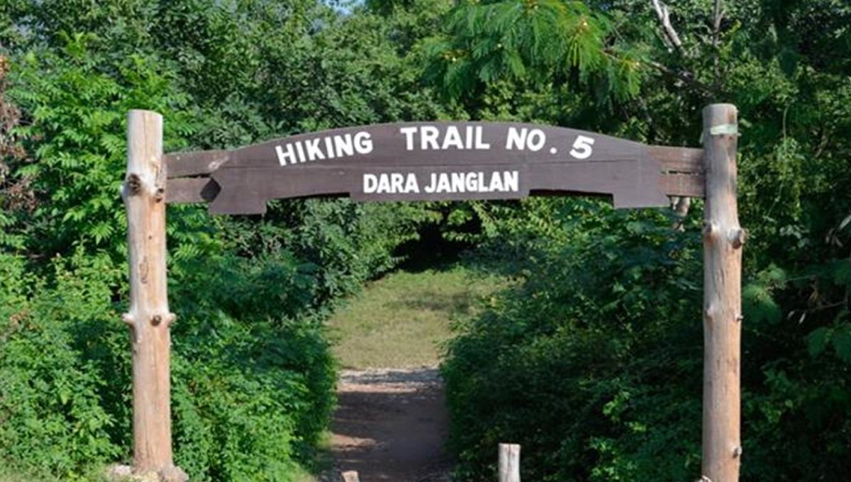 DC Announces Closure of Five Islamabad Hiking Trails