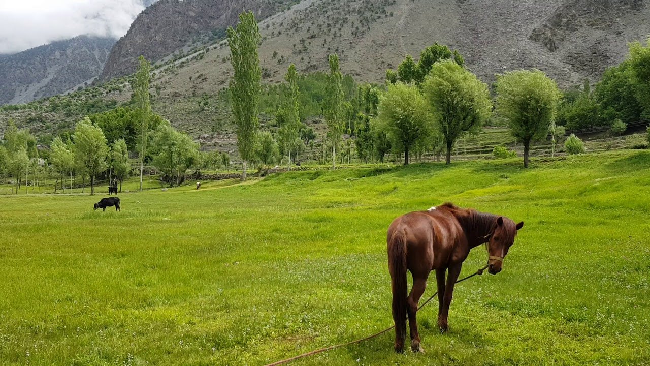 Darail Valley of Gilgit Baltistan— A Great Land in the Mirror of History