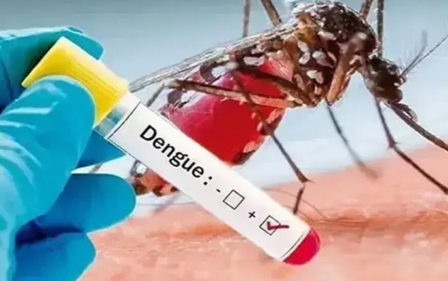 Dengue