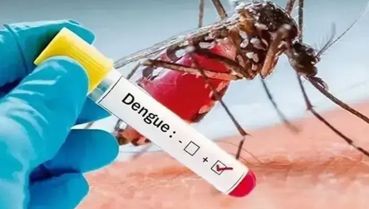 Dengue Alert in KP as New Cases Continue to Rise