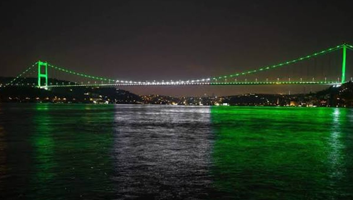 Istanbul Bridge Lights Up in Pakistani Colors for Independence Day