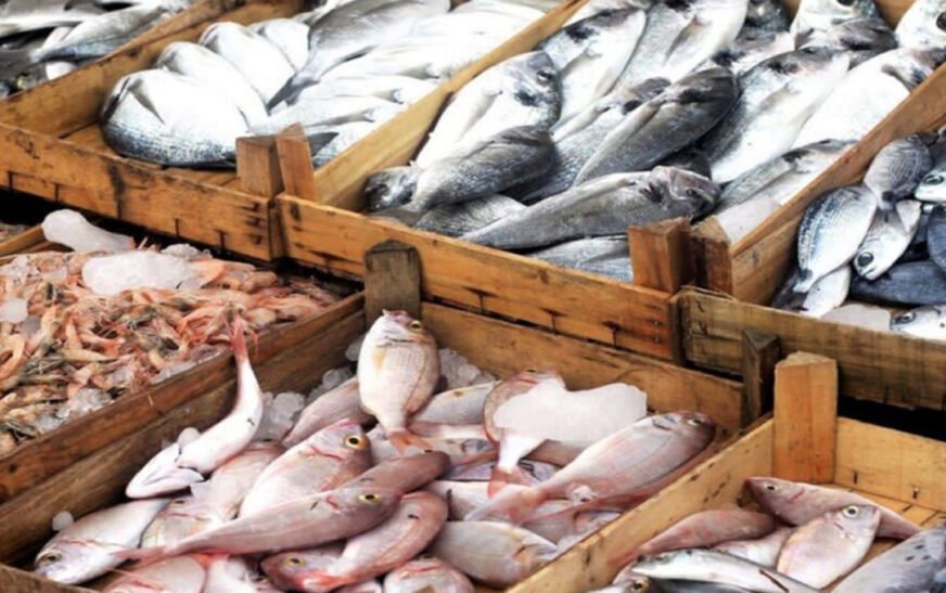KP’s Fish Crisis: 94% of Annual Demand Met by Other Provinces