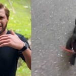 shahid afridi dog