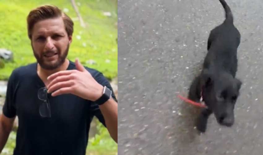 What Happened to Shahid Afridi’s Dog?