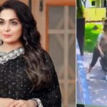 Actree Meera