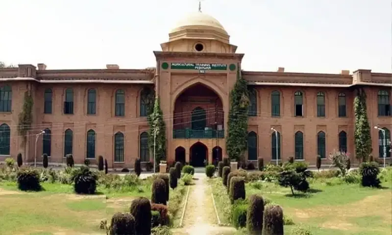 KP Govt Cuts Universities, Colleges Working Days Amid Fuel Price Hike