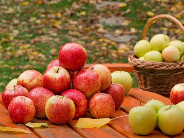 Why eating an apple a day Is good for your health: experts reveal key benefits