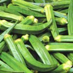 ladyfinger