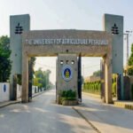 University of Agriculture Peshawar Promotes Class-IV and Other Employees