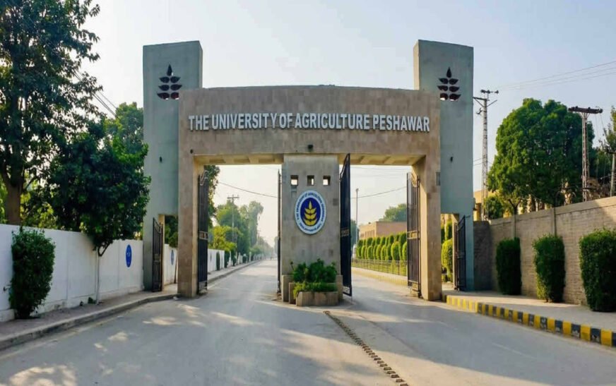 University of Agriculture Peshawar Promotes Class-IV and Other Employees