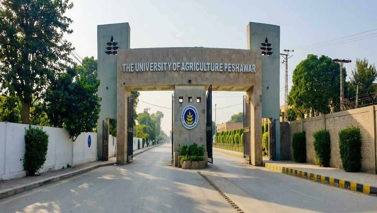 University of Agriculture Peshawar Promotes Class-IV and Other Employees