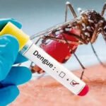 Dengue Cases Rise Again in KP as Weekly Infections Reach Highest Level in 34 Weeks
