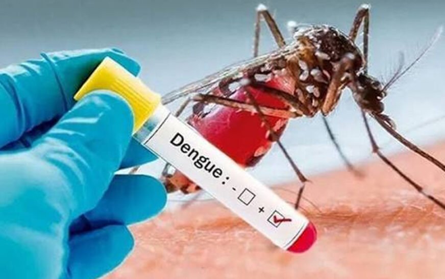 Dengue Cases Rise Again in KP as Weekly Infections Reach Highest Level in 34 Weeks