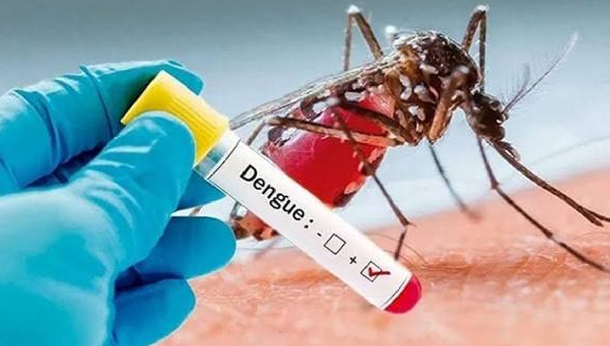 Dengue Cases Rise Again in KP as Weekly Infections Reach Highest Level in 34 Weeks