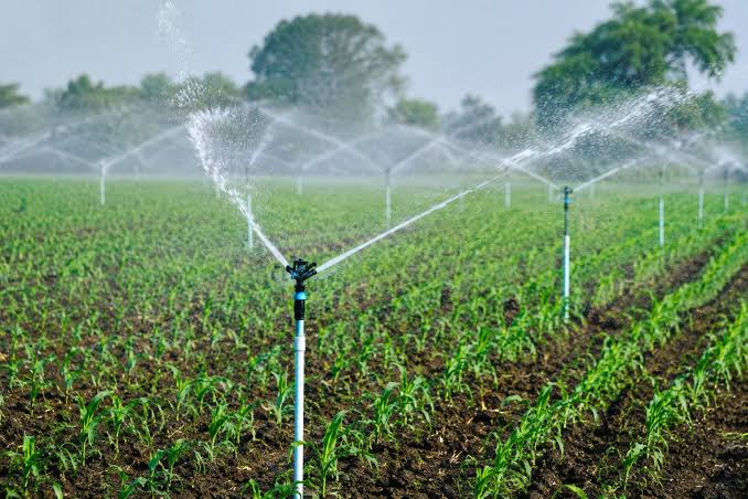 KP Accelerates Work on Drip, Sprinkler Irrigation Systems