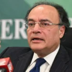 Protests, Sit-ins Could Cost Economy Rs120 Billion Daily: Finance Minister
