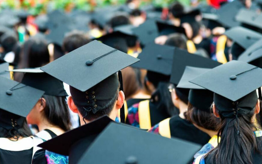 Fresh Graduates Can Earn Rs 80,000 Monthly Under PMDC Management Trainee Programme