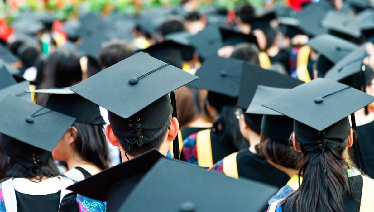 Fresh Graduates Can Earn Rs 80,000 Monthly Under PMDC Management Trainee Programme