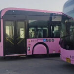 Pink Buses Hit Peshawar Roads as BRT Expands Fleet