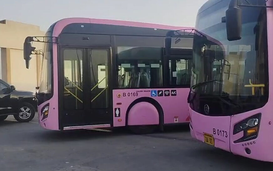 Pink Buses Hit Peshawar Roads as BRT Expands Fleet