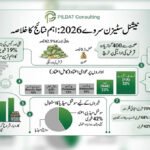 Rising Power and Gas Bills Top Public Concerns Across Pakistan: PILDAT Survey