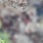 Security Forces Foil Infiltration Bid, Kill 15 Militants in North Waziristan
