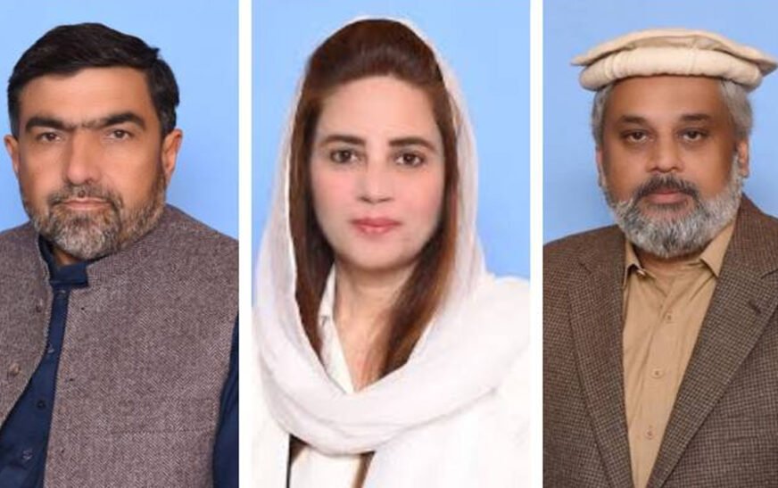 Zartaj Gul, Hamid Raza and Abdul Latif Disqualified by ECP Over Asset Declarations