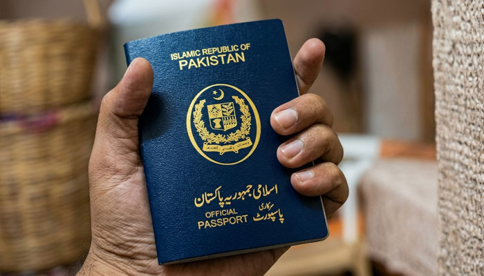 Senate approves bill on lifetime blue passports for senators
