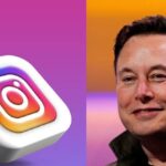 Musk