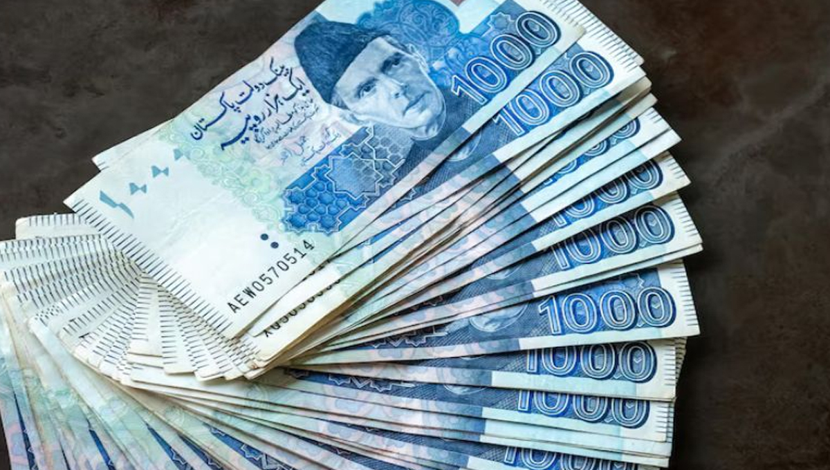 NADRA clarifies pensioners role in Proof of Life certificate process