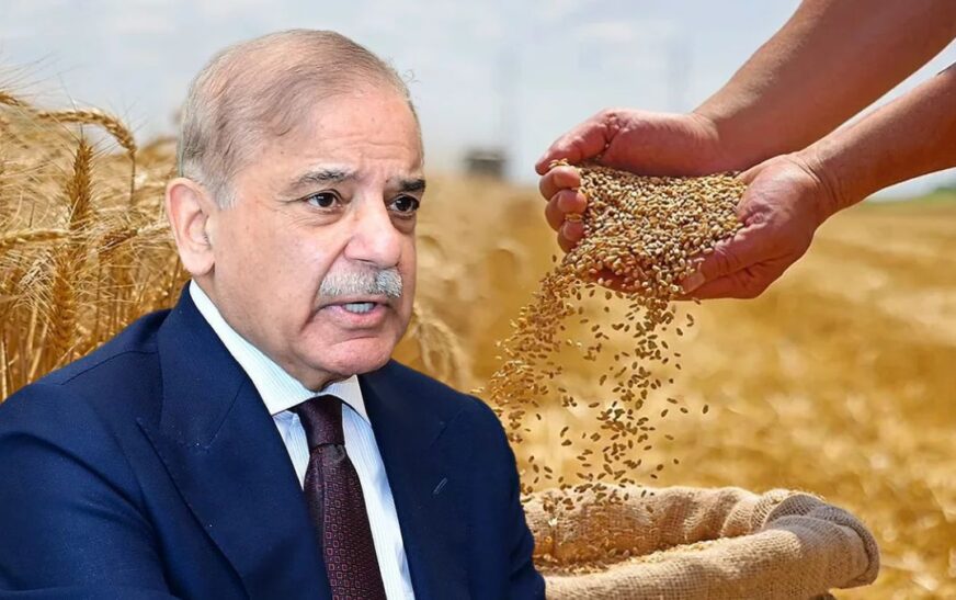 PM Shehbaz Sharif announces key decision on wheat prices