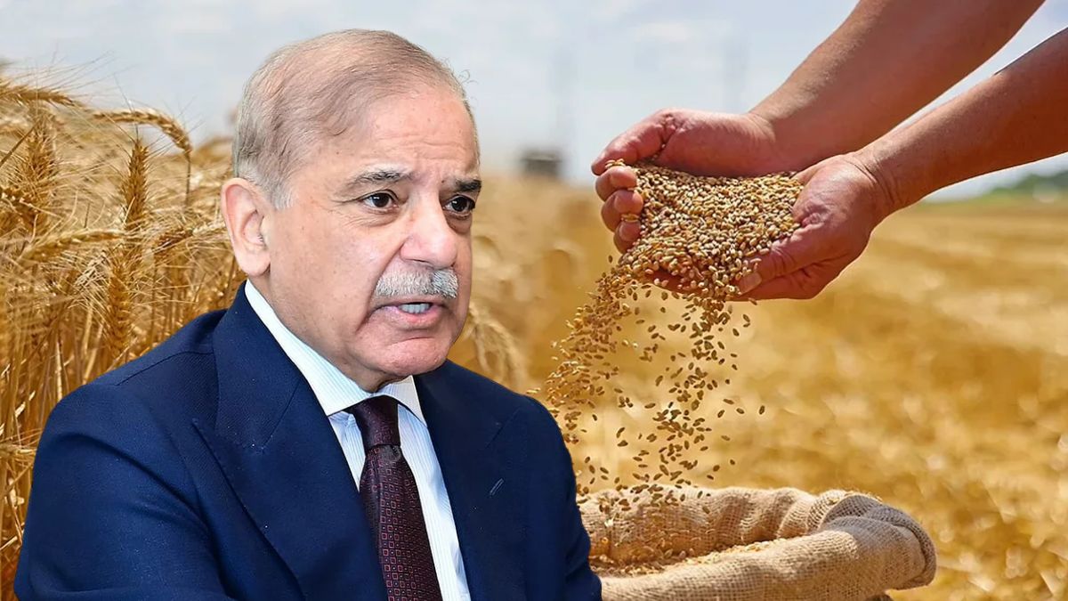 PM Shehbaz Sharif announces key decision on wheat prices