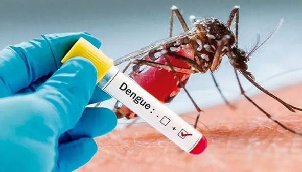 Dengue Cases Keep Rising in KP