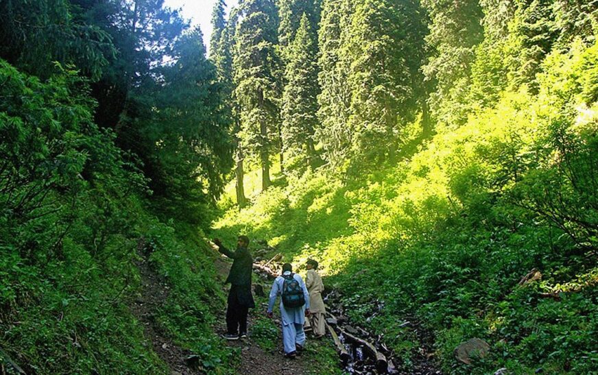 KP’s New System to Track Environmental Impacts