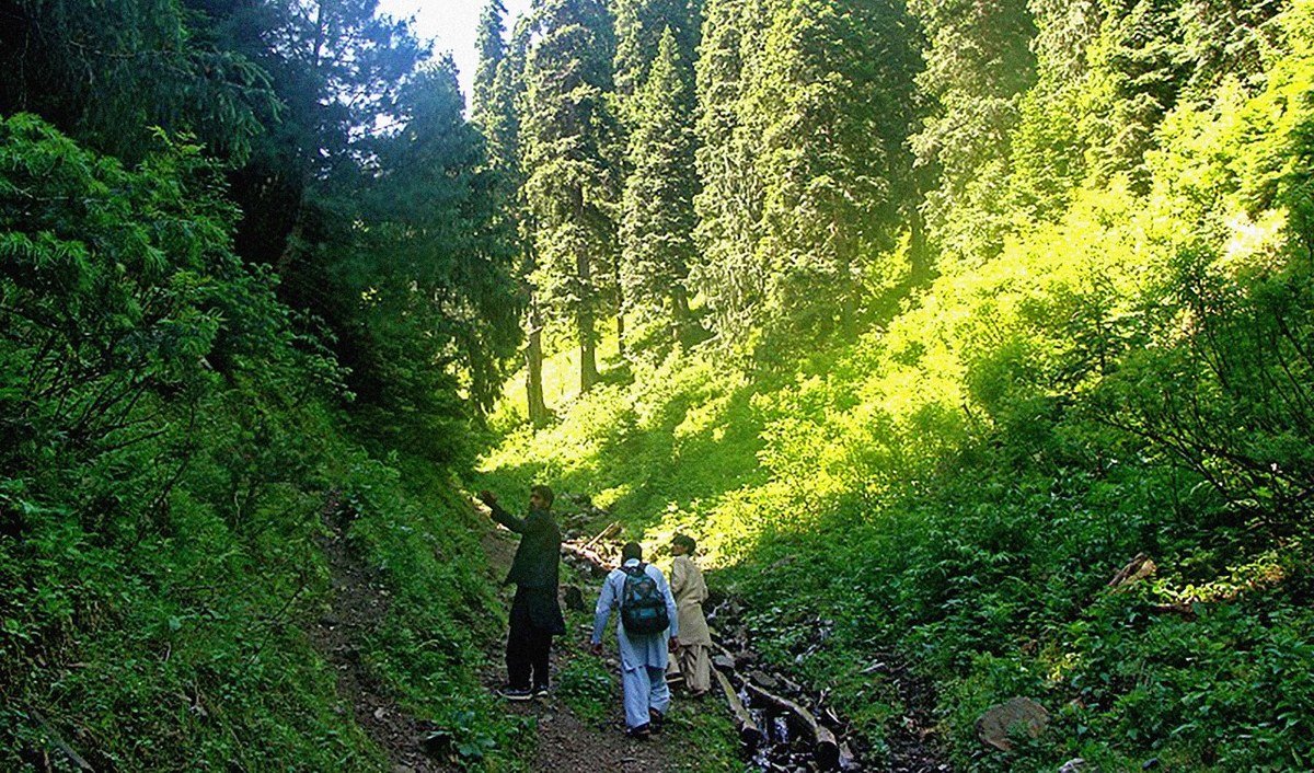 KP to Introduce Digital System to Monitor Environmental Impacts of Projects