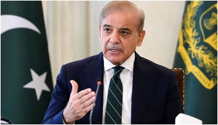 PTI ruined the peace achieved by sacrifices of many: PM