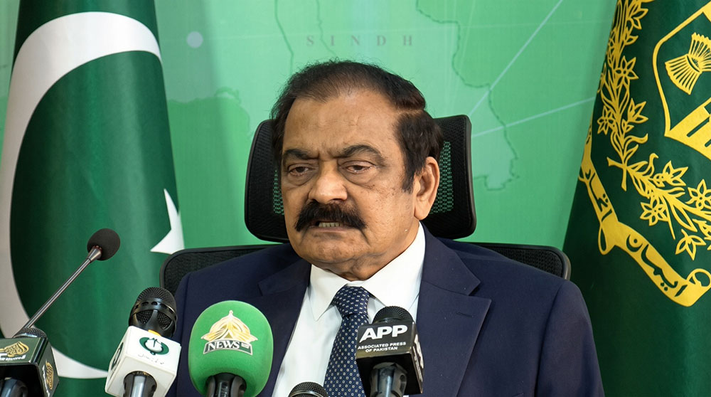 Do Not Put Personal Agenda Above National Interest: Rana Sanaullah