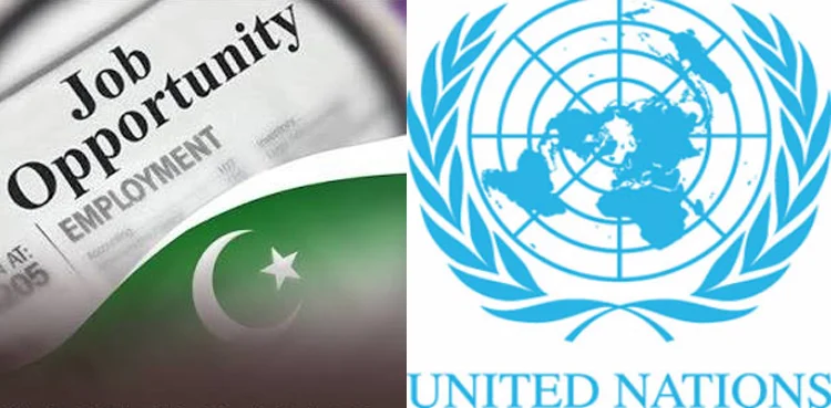 International job opportunities for Pakistanis: how to apply
